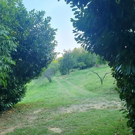 Bacshegyi Vendeghaz 2 דירה