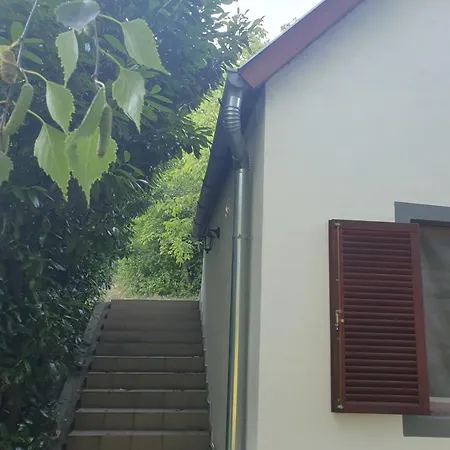 Bacshegyi Vendeghaz 2 * Kaptalantoti