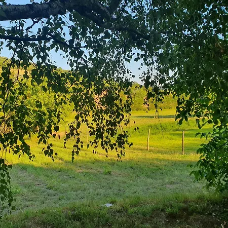 Bacshegyi Vendeghaz 2 *