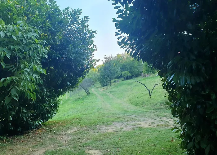 Bacshegyi Vendeghaz 2 Apartmán