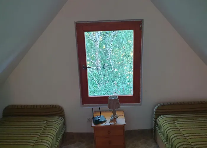 Bacshegyi Vendeghaz 2 *