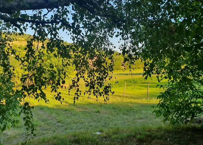 Bacshegyi Vendeghaz 2 *